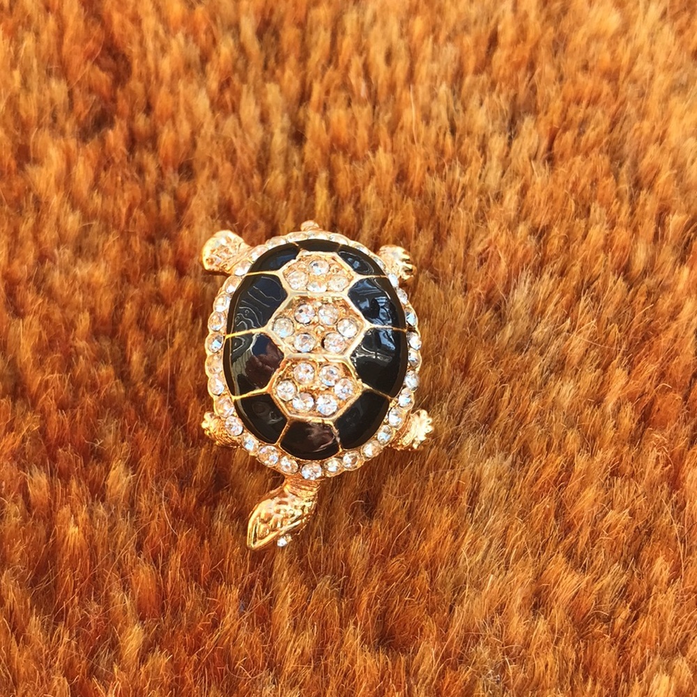 Beautiful Turtle pin.